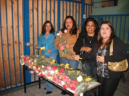 Inicios Antamara